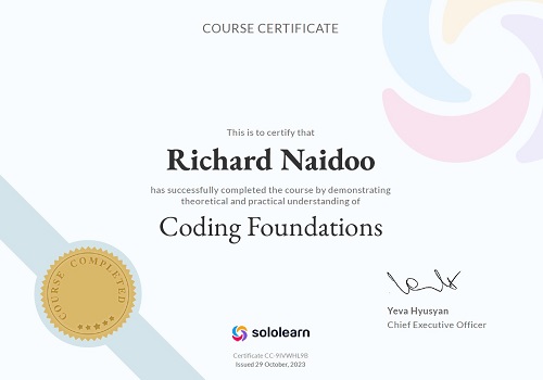 Learning Coding Foundations with sololearn